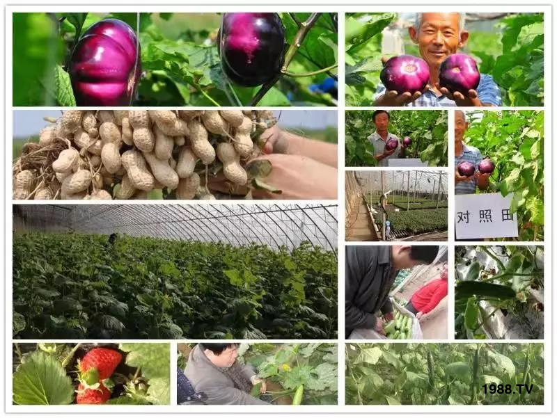 �VԴ�S����⛡�����Ʒ����1����=8���ЙC�����½�Դ�^ֱ�l(f��)������