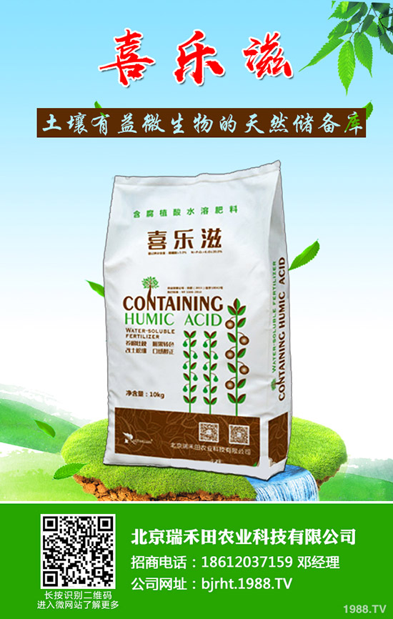 2019-11-16���ֵ؅^(q��)���؈�(b��o)�r(ji��)�{(di��o)�q�����Շ���(n��i)���������߄���