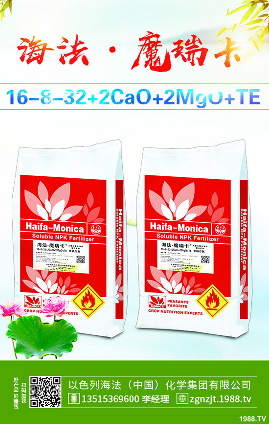     2019��11����Ѯ������@�r�������߄ݾC�Ϸ�����