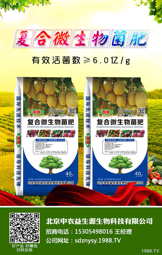     һ�@�����½��p����2019��11��2�ս���һ�@�������S�����r����