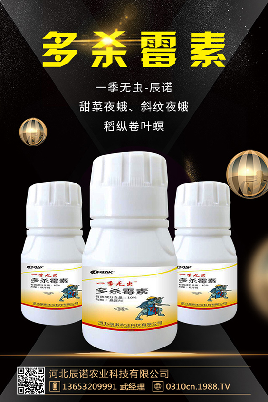 ���ܚ��x���r(ji��)�������߄ݷ���