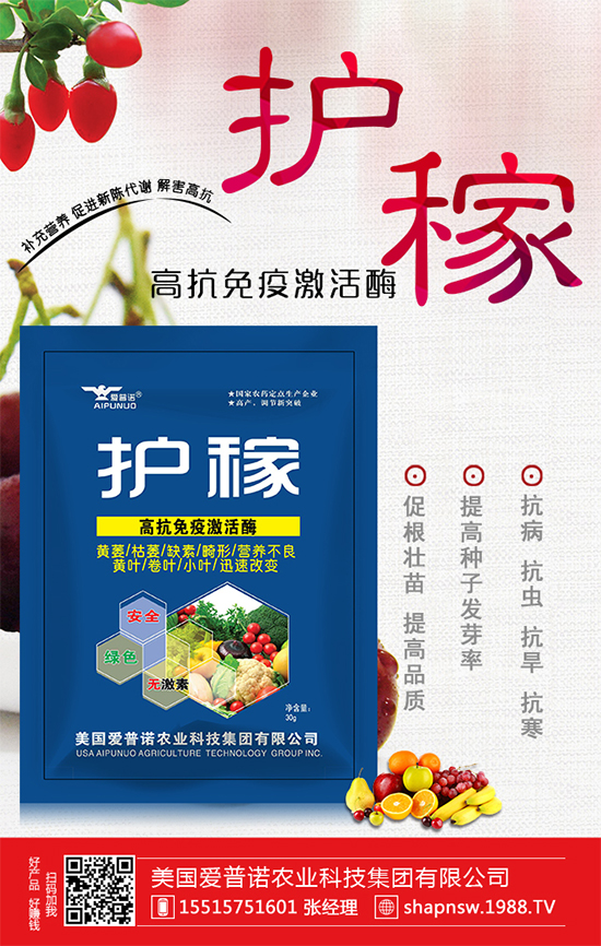 秋冬菠菜種植品種怎么選？越冬菠菜凍藏方法要點！