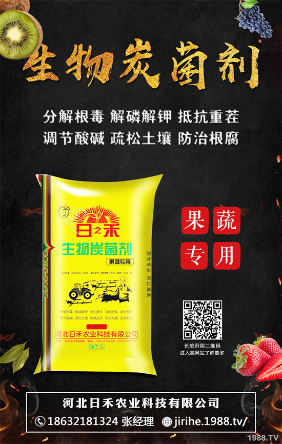 ���[��ֲ�������ˆ������[��ֲ����ֲ���������