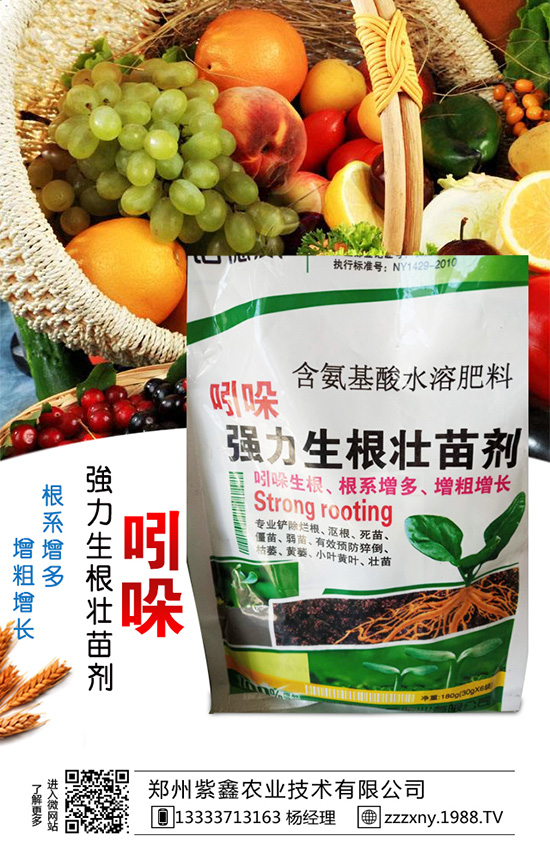 ��֥��Nֲ�r(sh��)�g��ʲô�r(sh��)��᣿��֥��Nֲ�������g(sh��)��