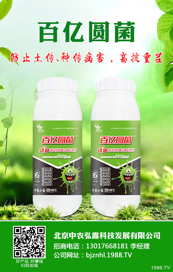 �����ʲô���a(ch��n)���ʺ�����α���ʺ��İl(f��)����