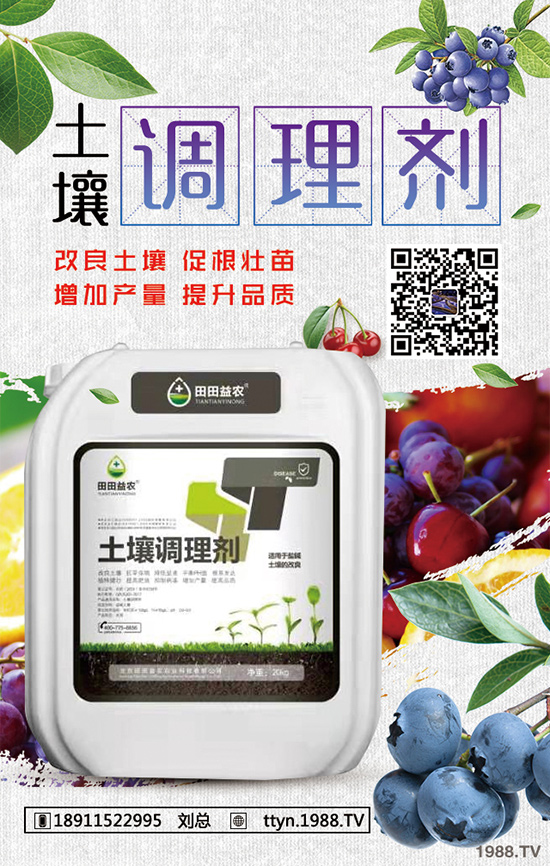 �L����������ô�B(y��ng)���L���������B(y��ng)ֳ����