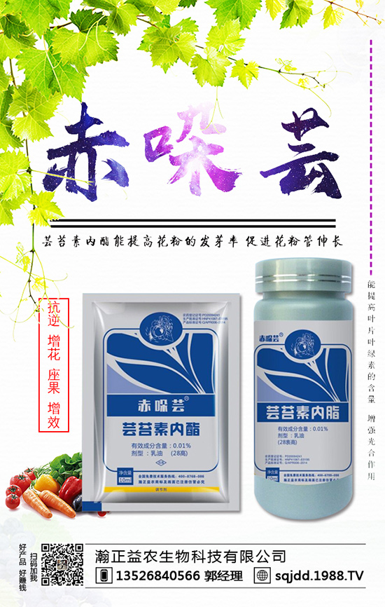 ���t����ʲô����������t��������ķ��η���