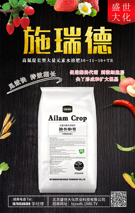 ʯ����ʲô�I�B(y��ng)�r(ji��)ֵ��ʯ������Щʳ�ù�Ч��