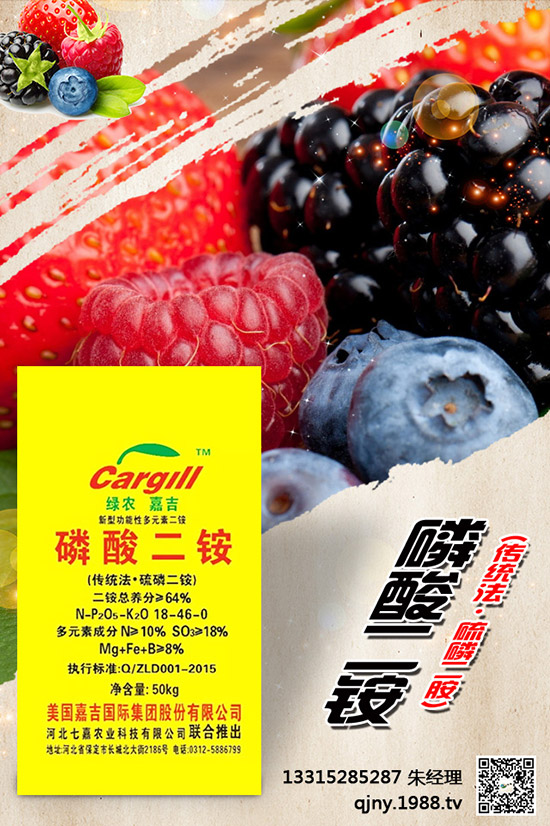 С����ʲô����(ji��)���N������Щ�Nֲ������