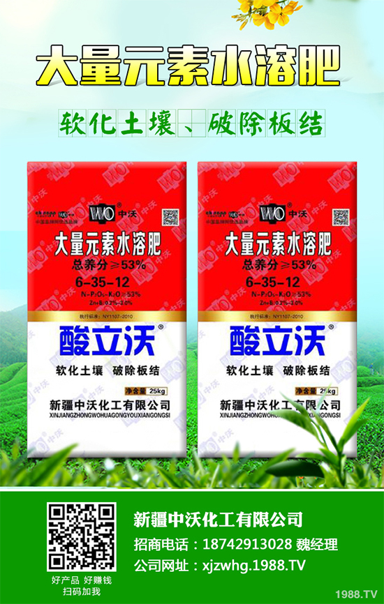 ��Ƥ�ɽ�(j��ng)��Ч�������2020��Ƥ�ɵķNֲǰ������