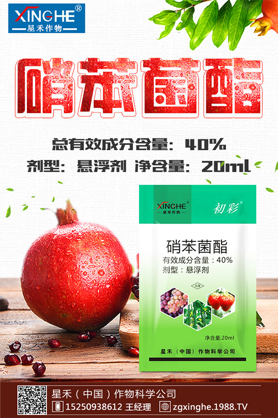 �����Ѿ���