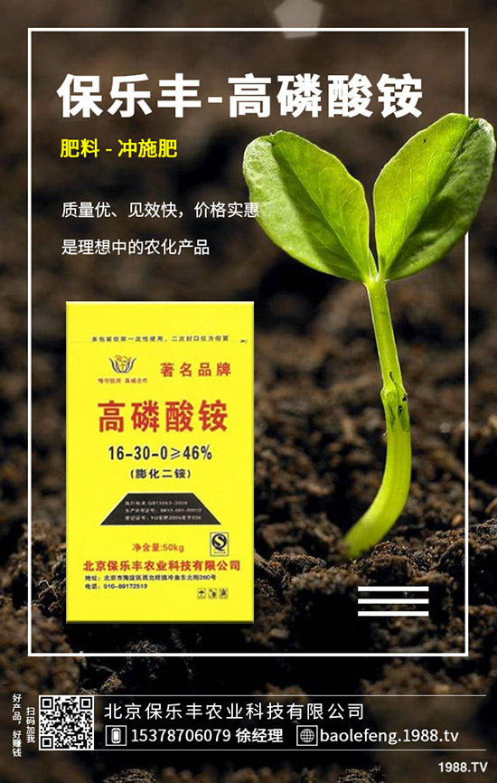 ����(n��i)���@�r����ϝq�᣿2019.11.29���ո������@���S��(b��o)�r��