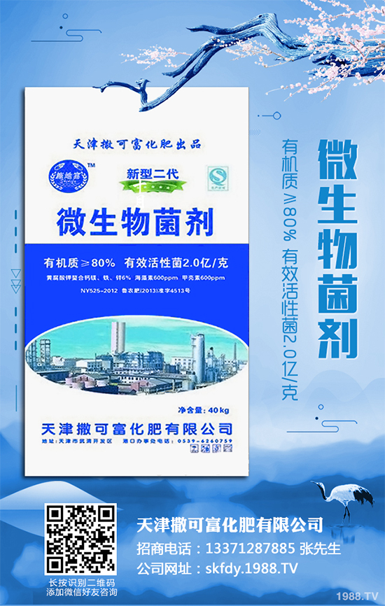 ��Ƥ�����Ժ���S��զ������ԓ��ô��Q�����������