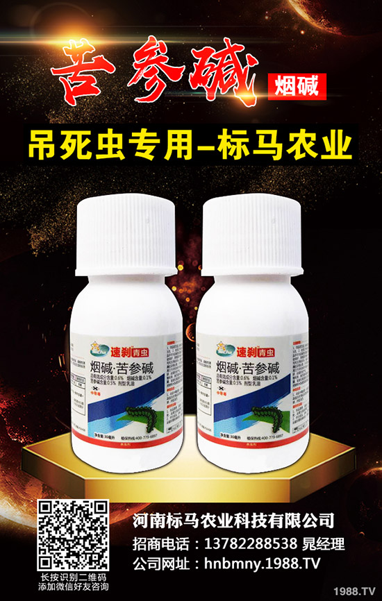 ����(n��i)���x���r(ji��)���Ј�(ch��ng)�����܈�(b��o)2019.11.30