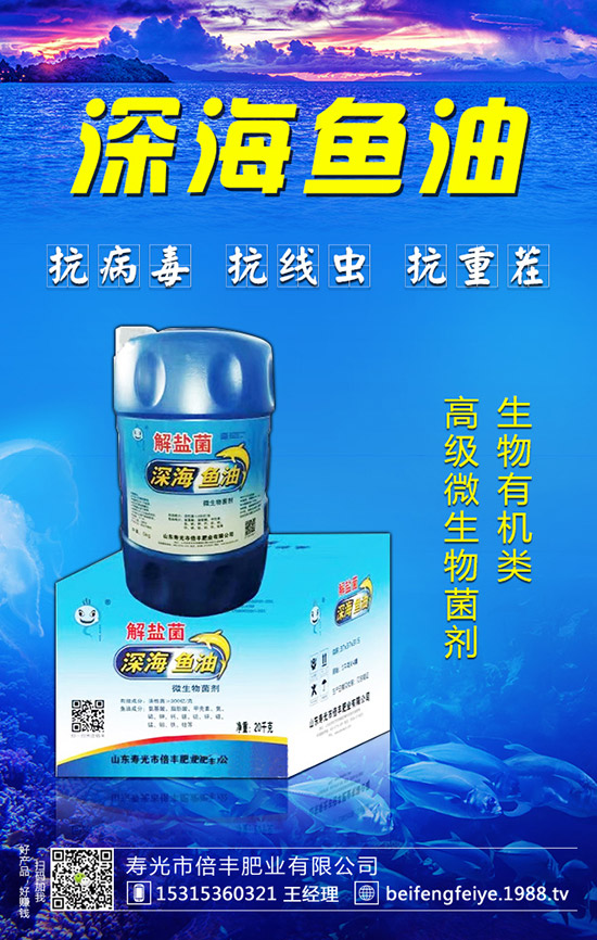 ����轵ķNֲ����������轵ķNֲǰ��