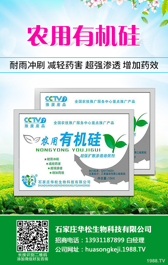 甘草的種植方法有哪些？甘草種植需要什么樣環(huán)境？