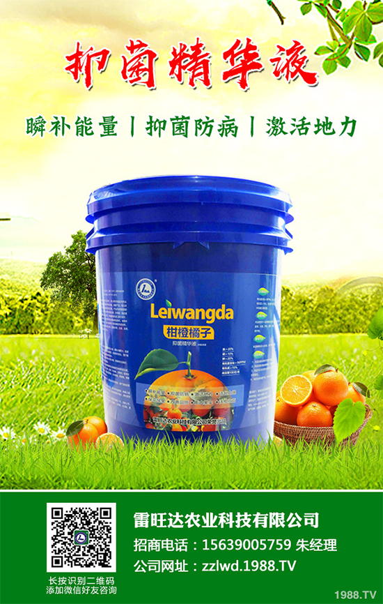 �L�ڵ͜ع������߲��L�ݲ�ԓ��ν�Q�����������a��Ď�헴�ʩ