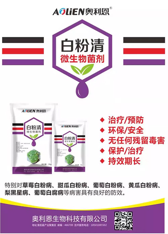 �׷۲�������(f��)�y�p���� ӛס�@��(g��)ˎ����Ч���ΰ׷۲����P����