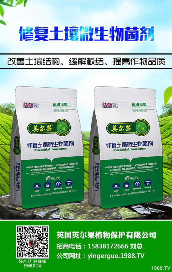     �������������2019��11��11�ո��؅^(q��)�����������S��r��