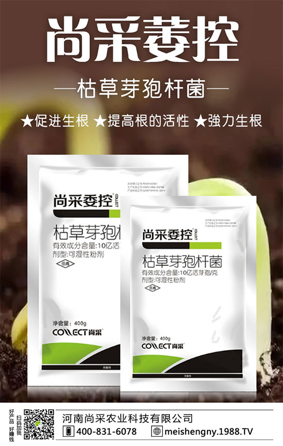 �����ݮ���ɼ����������������ݮʩ��Ҫ�c��