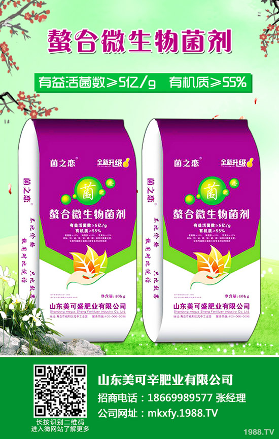     2019-12-11���@�����M(j��n)չǷ��������������@�r(ji��)���(b��o)�r(ji��)һ�[