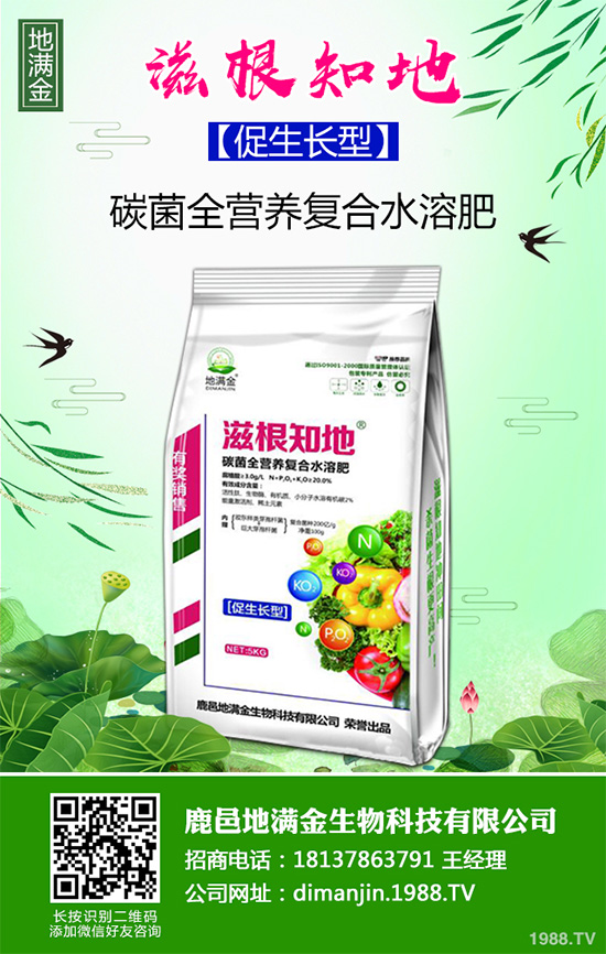 ���G�Ӷ����Xһ����2020�����G�ӷNֲǰ����Ч�����