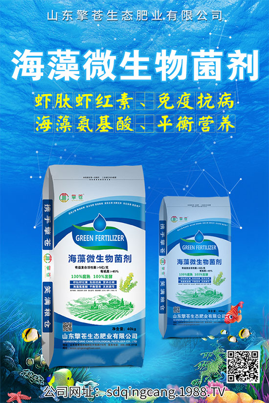 ������˥ʲô�Y����������˥�ķ��δ�ʩ��