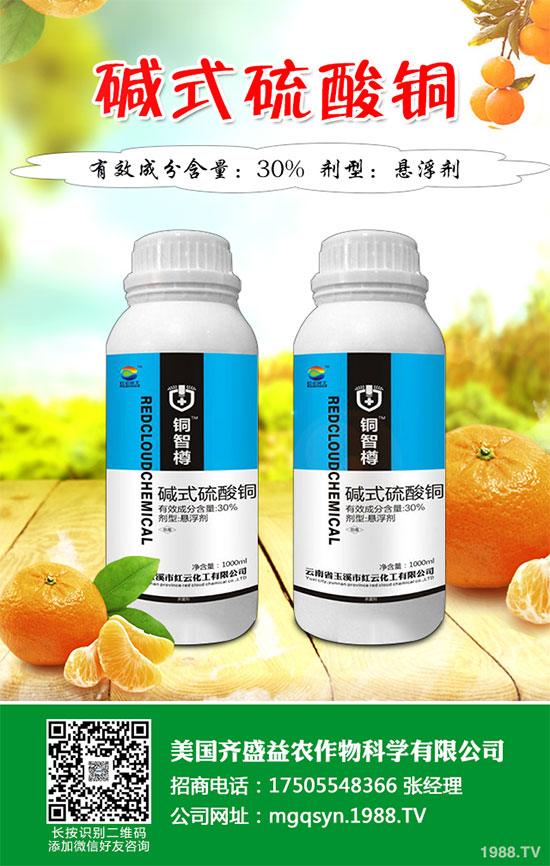 �����������}