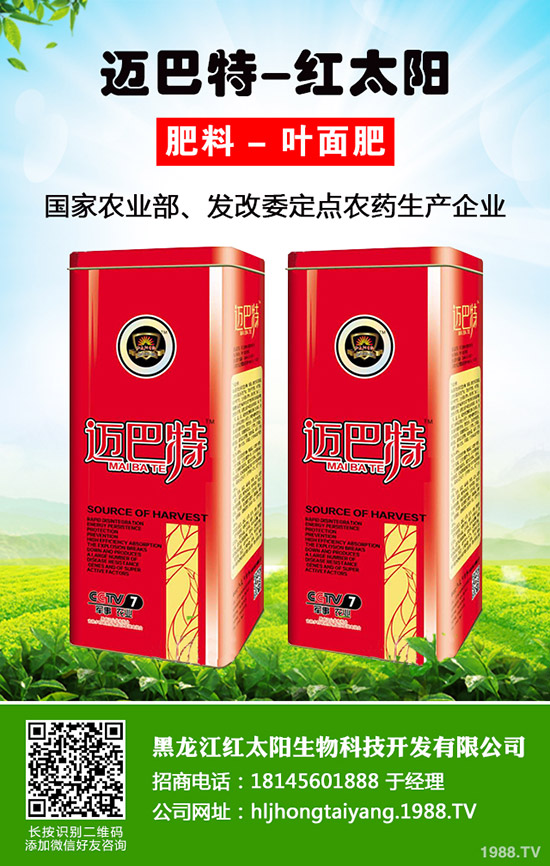 �²˞�ʲô�����Y��ʲô����Ӱ��˾²˷��Y��