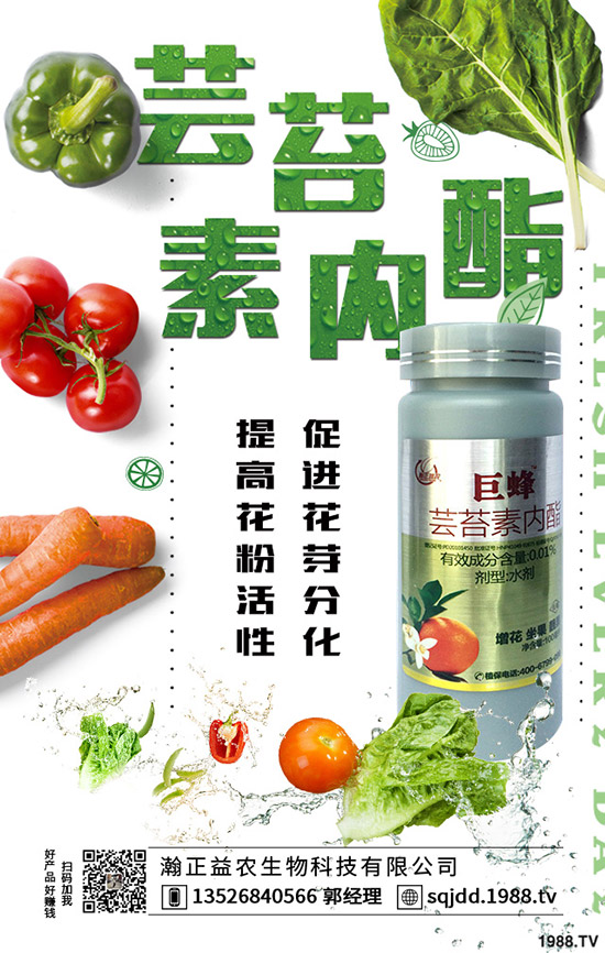 �����߲˲ɹ��ʵ�Σ���������ߴ����߲˲ɹ��ʣ�