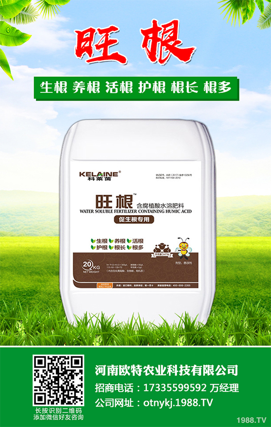 Ģ���Nֲ��Ҫʲô�l����Ģ���Nֲ�h(hu��n)��Ҫ��