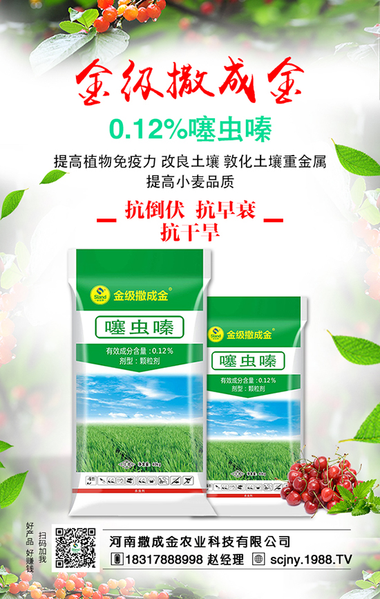 ���Է��ϊZ�����B��������