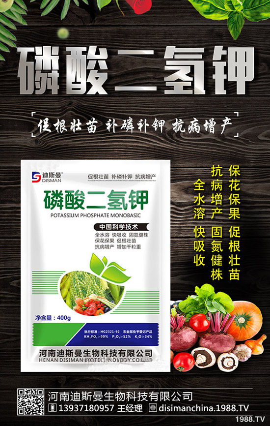 ������ô�Nֲ�������Nֲ�������ճ�����������