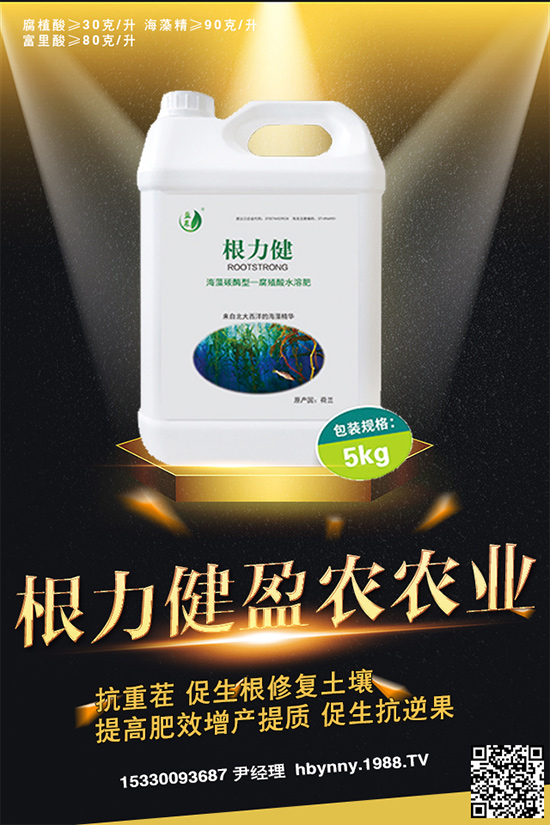     ������ȥ����(l��i)���_�����_���Ϸʣ�ע�⡰���ɡ�