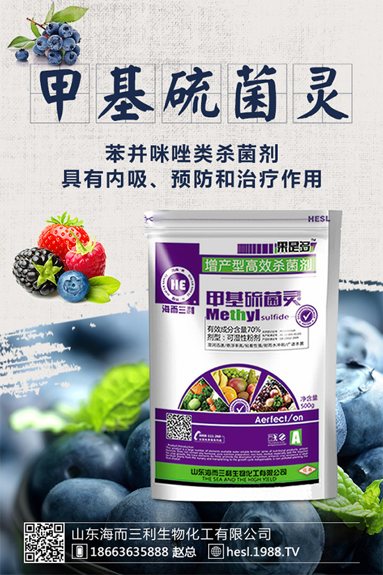     ��ݮ�������r(ji��)��