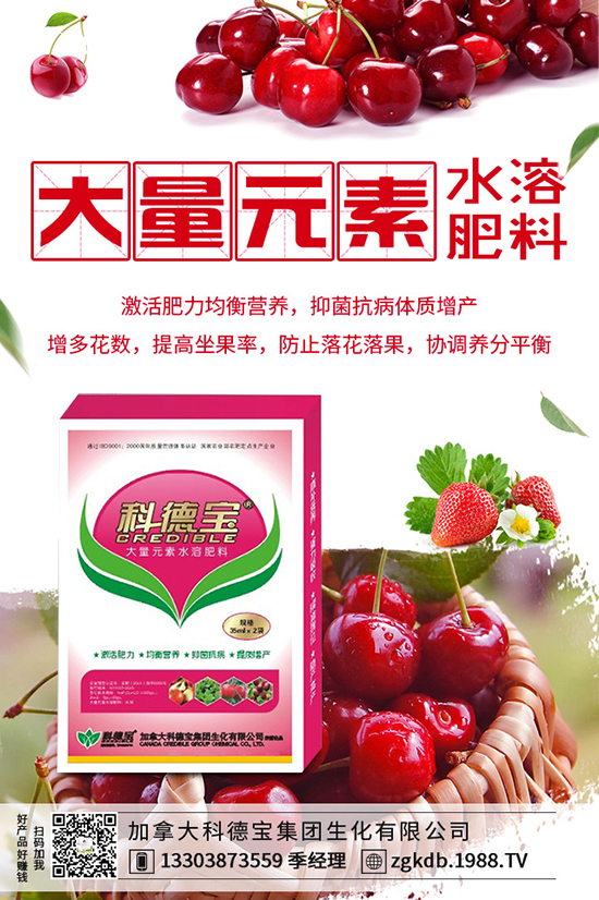 2019-12-21���؃r������ӑB(t��i)�������Xһ����