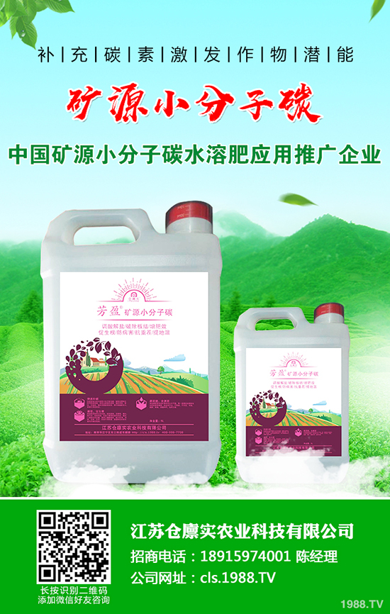 ����������m(x��)����(sh��)��2019-12-21�����������؃r(ji��)�����(b��o)