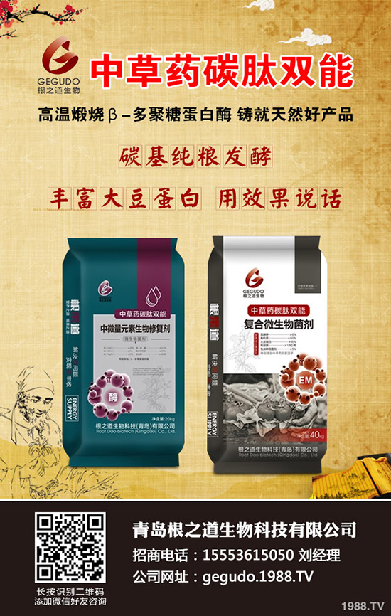     2019-12-23⛷ʃr(ji��)��С���»������������߄�(sh��)�A(y��)�y(c��)��