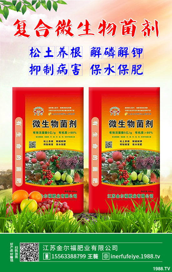     2019��12��23�����؃r(ji��)��������������ո��؅^(q��)�����������S��(b��o)�r(ji��)��