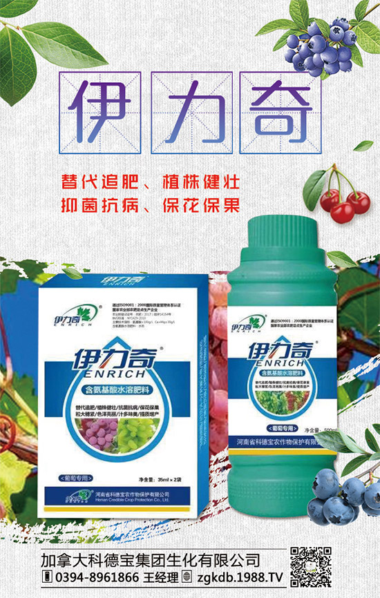     �R�����P(gu��n)�����@�����Ƿ��ϸ���2020����@�r(ji��)�������߄�(sh��)�A(y��)�y(c��)��