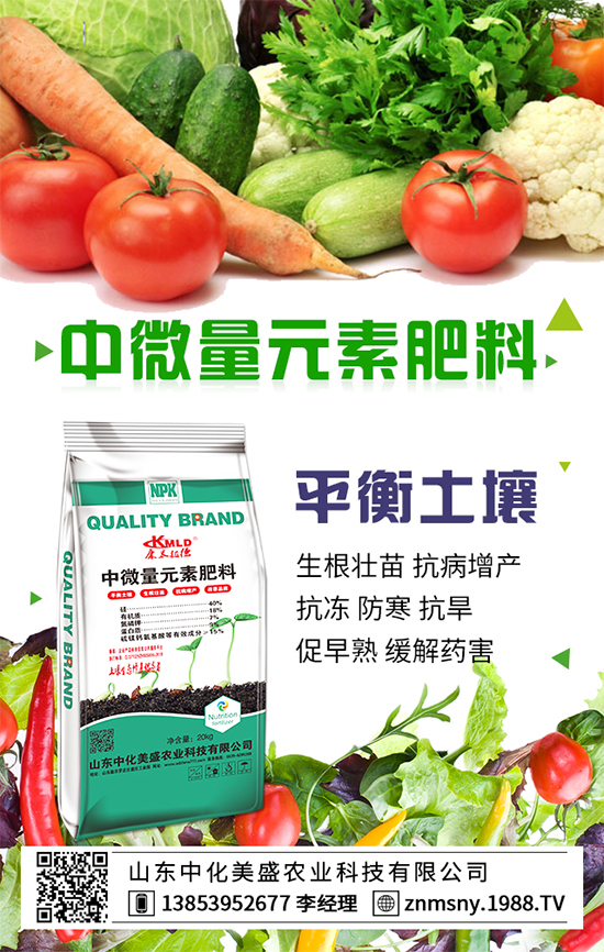 ��乽��ηNֲ����乽�ķNֲ���g(sh��)��