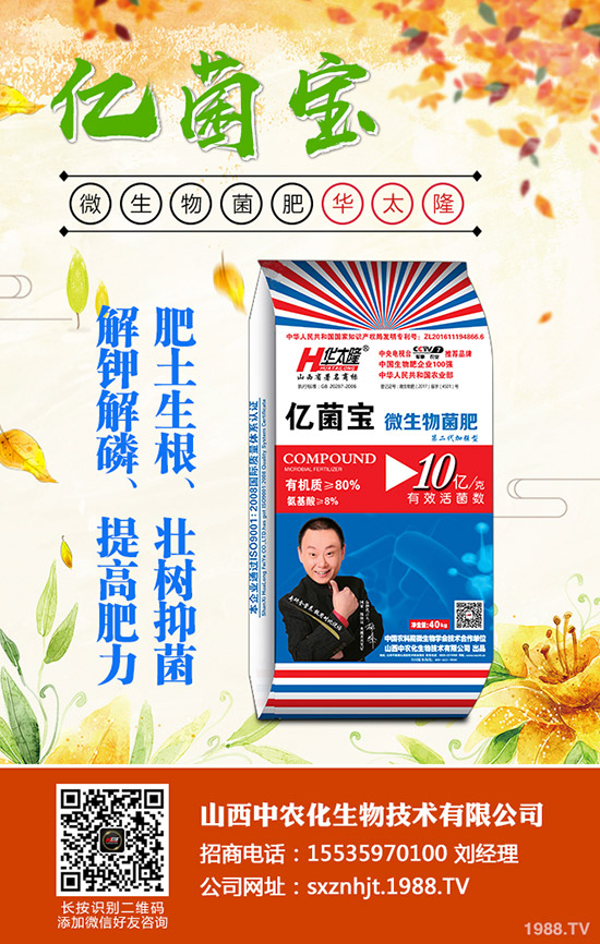     ���@�r(ji��)���Դ�С���»����g��2019��12�µ�������@���������