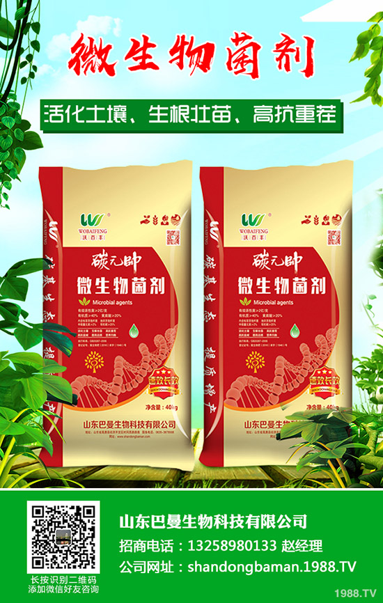     �R�����P(gu��n)������(ji��)���g������I(y��)����ͣ�a(ch��n)��2019��12��ĩ�������������߄���