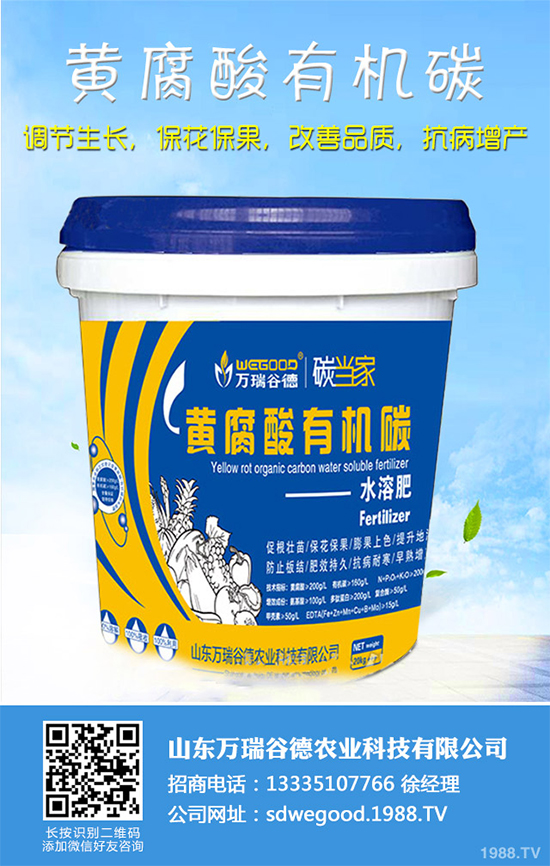 ħ��r������Xһ����2020��ħ��Nֲ���Ј�����