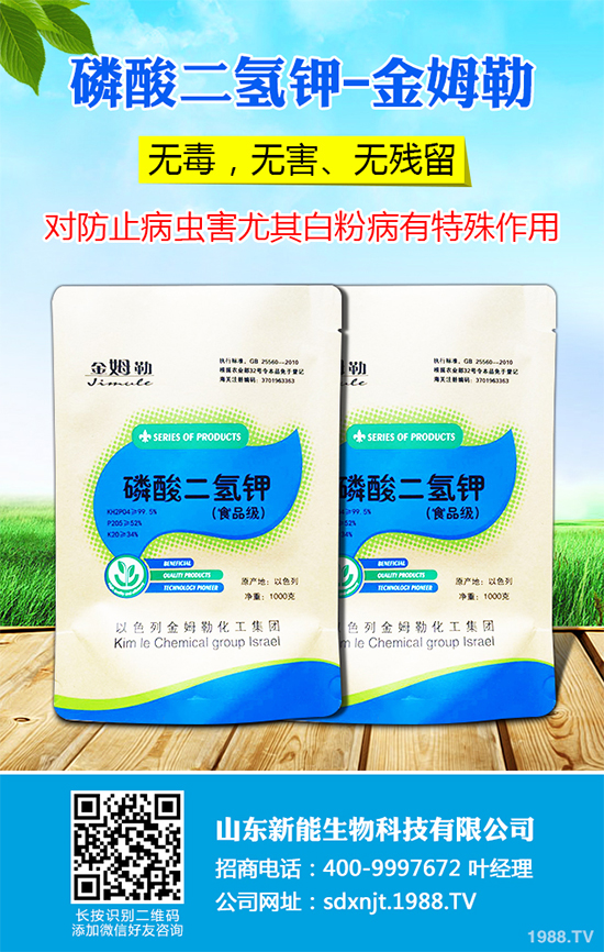 ħ��r������Xһ����2020��ħ��Nֲ���Ј�����