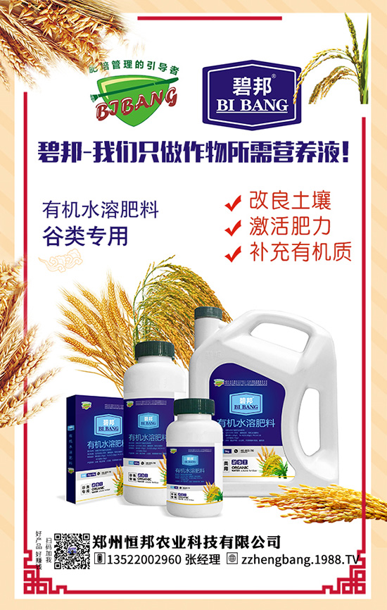 ����������Щ��̎������Ĺ�Ч���ü�ʳ�ý���