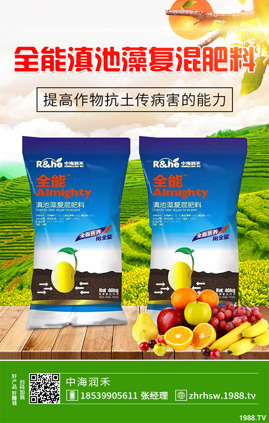 ���r����͸���������Щ�^(q��)�e���ǂ�(g��)Ч��������