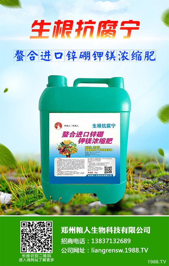 ���r����͸���������Щ�^(q��)�e���ǂ�(g��)Ч��������