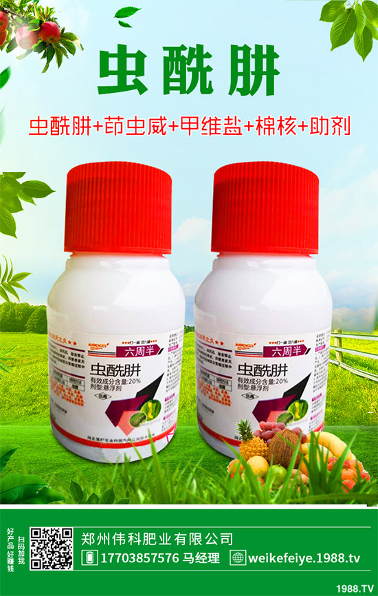 �󶹚��x(ch��ng)���r(ji��)��