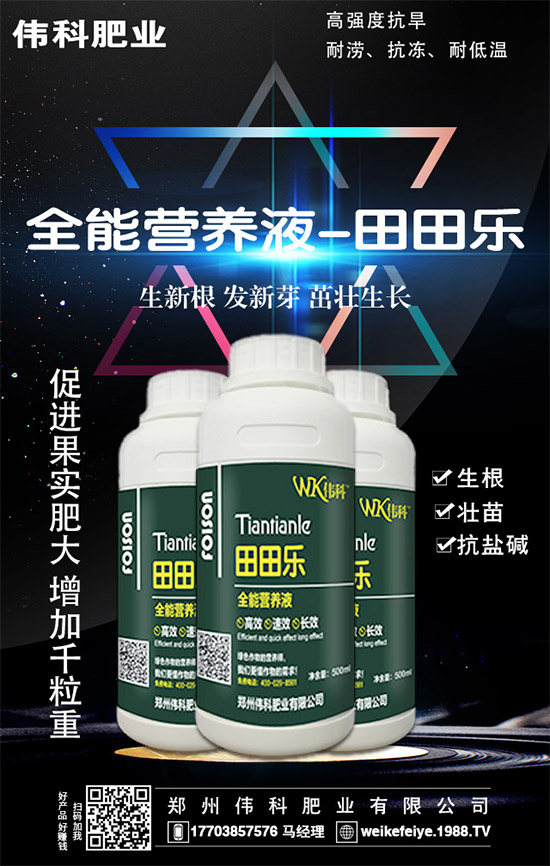     ���ӵĠI�B(y��ng)�rֵ����Щ����Ч�c��������Щ��������Щ��Ⱥʳ�ã�